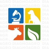 Logotipo de Diagnoagro CA